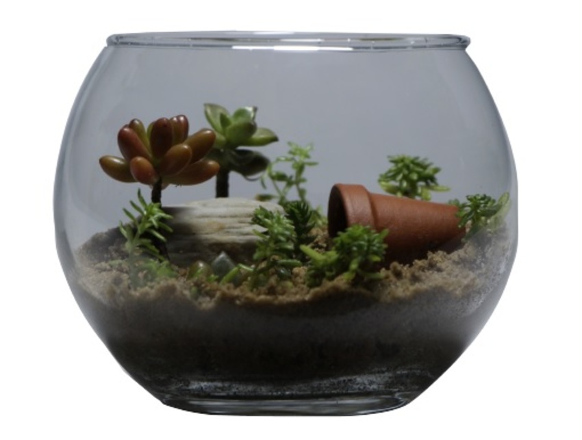 Minijardim - 2020-09-08