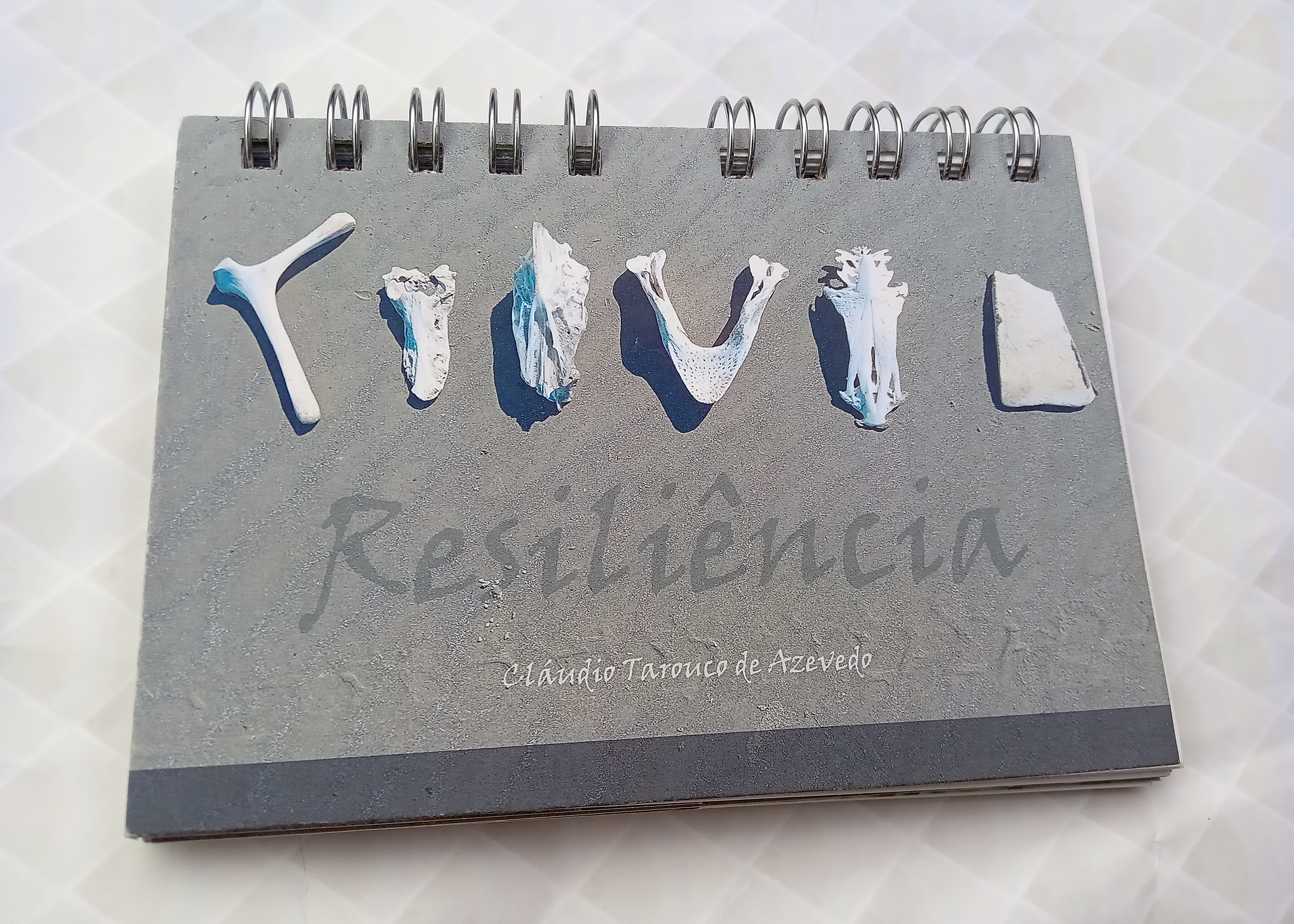 Resiliência - 2023-11-29
